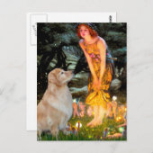 Carte Postale Golden Retriever 11 - Mid Eve (Devant / Derrière)