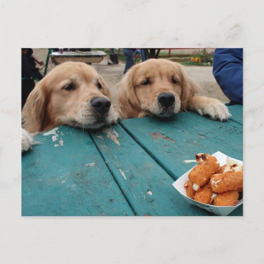Carte postale Golden Retriever Anniversaire (Devant)