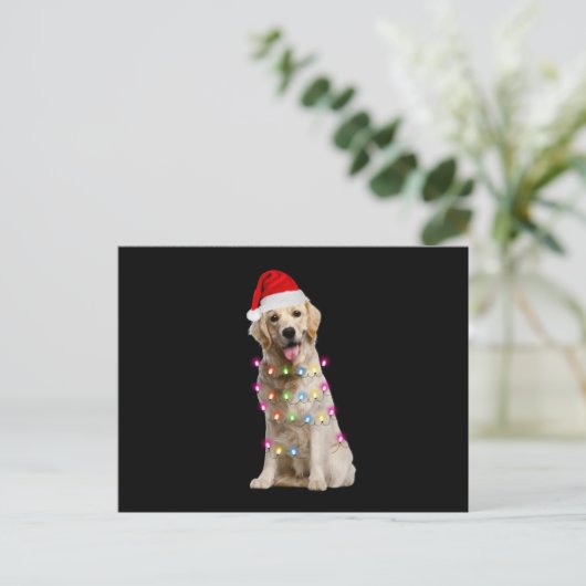 Carte Postale golden retriever assis avec noël (Debout devant)