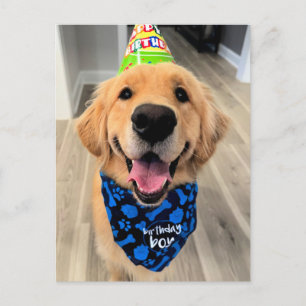 Carte Postale Golden Retriever avec chapeau et bandana d'anniver