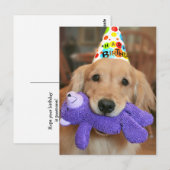 Carte Postale Golden Retriever avec chapeau Joyeux Anniversaire (Devant / Derrière)
