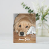Carte Postale Golden Retriever Avec Chaussure Miss You (Debout devant)