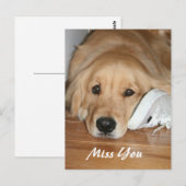 Carte Postale Golden Retriever Avec Chaussure Miss You (Devant / Derrière)