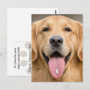 Carte Postale Golden Retriever avec une Pilule