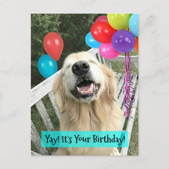 Carte Postale Golden Retriever Chien Avec Ballons Anniversaire Zazzle Be