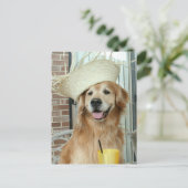 Carte Postale Golden Retriever Chien en paille Casquette heureux (Debout devant)