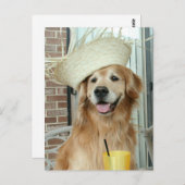 Carte Postale Golden Retriever Chien en paille Casquette heureux (Devant / Derrière)