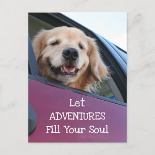 Carte Postale Golden Retriever Dog Aventures de voyage sécuritai