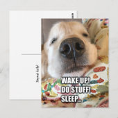 Carte Postale Golden Retriever Dog Motivational Meme (Devant / Derrière)