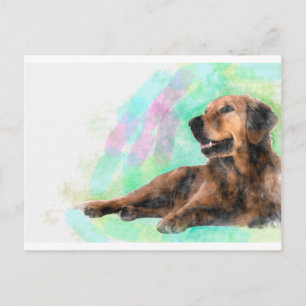 Carte Postale Golden Retriever Dog Water peinture couleur