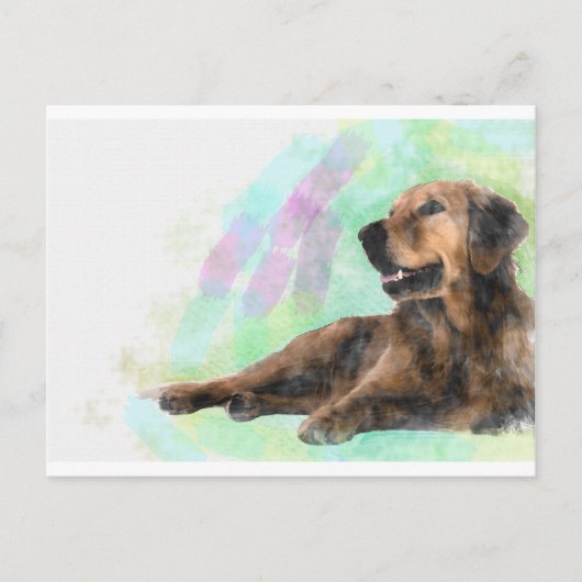 Carte Postale Golden Retriever Dog Water peinture couleur (Devant)