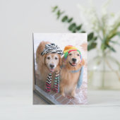 Carte Postale Golden Retriever en vêtements d'hiver (Debout devant)