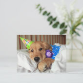 Carte Postale Golden Retriever endormi en pyjama d'anniversaire (Debout devant)