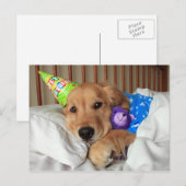 Carte Postale Golden Retriever endormi en pyjama d'anniversaire (Devant / Derrière)