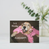 Carte Postale Golden Retriever Est Lundi Déjà (Debout devant)