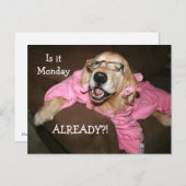 Carte Postale Golden Retriever Est Lundi Déjà (Devant / Derrière)