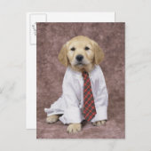 Carte Postale Golden Retriever ; est relativement moderne et (Devant / Derrière)