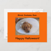 Carte postale Golden Retriever Halloween (Devant / Derrière)