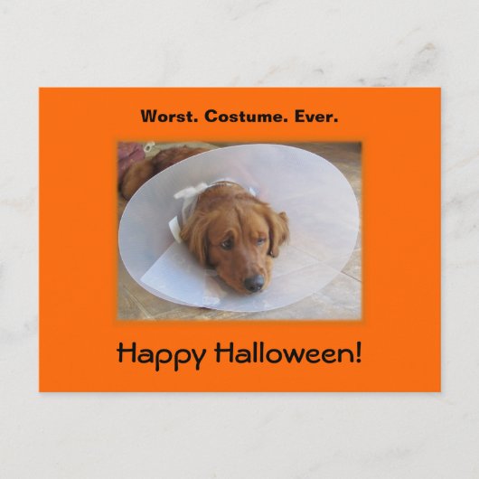 Carte postale Golden Retriever Halloween (Devant)