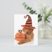 Carte Postale Golden Retriever Halloween Design (Debout devant)