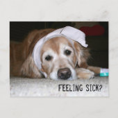 Carte Postale Golden Retriever in Banding Get Well Bientôt (Devant)