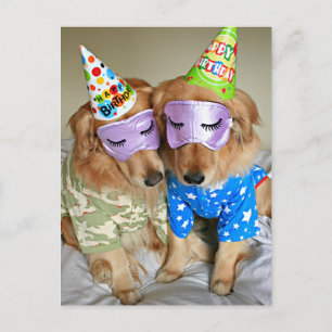 Carte Postale Golden Retriever in Pajamas Anniversaire