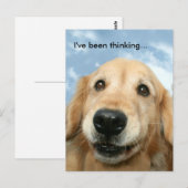 Carte Postale Golden Retriever Je pense (Devant / Derrière)
