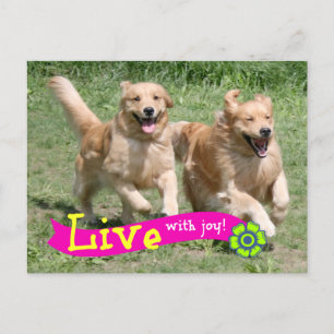 Carte Postale Golden Retriever Live With Joy