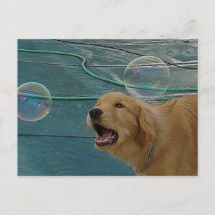 Carte Postale Golden Retriever Love
