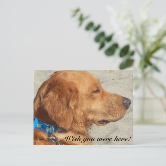 Carte postale Golden Retriever Miss You (Debout devant)