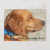 Carte postale Golden Retriever Miss You (Devant)