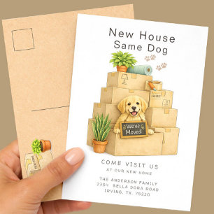 Carte Postale Golden Retriever Nouvelle Maison Même Chien Déména