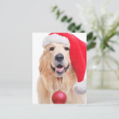 Carte Postale Golden Retriever Père Noël (Debout devant)