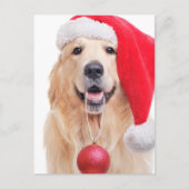 Carte Postale Golden Retriever Père Noël (Devant)