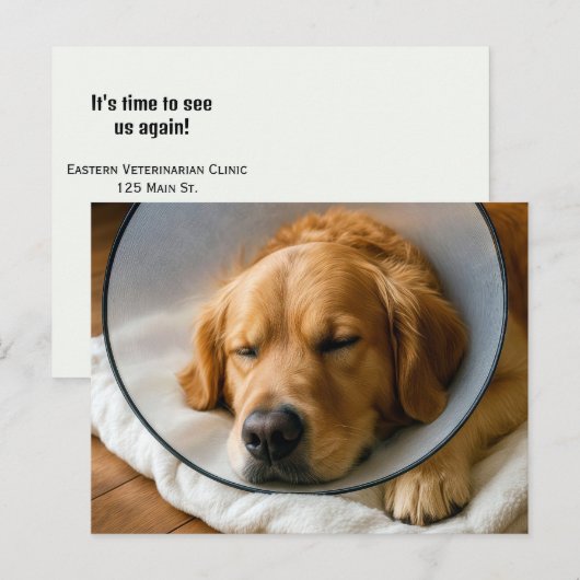 Carte Postale Golden Retriever portant un cône de la honte (Devant / Derrière)