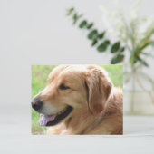 Carte postale Golden Retriever Pup (Debout devant)