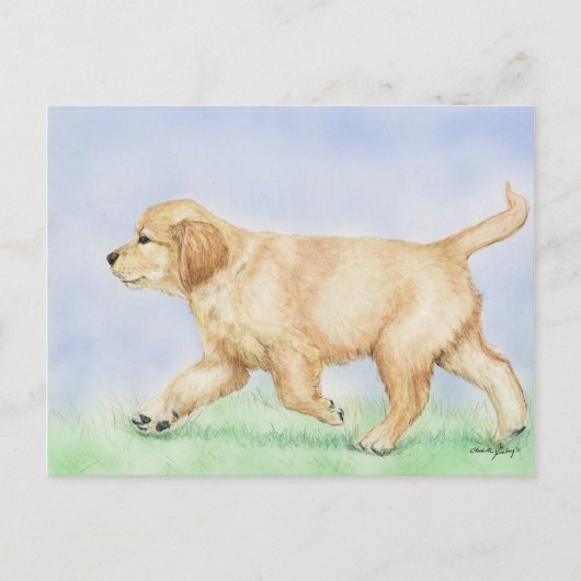 Carte postale Golden Retriever Puppy Art (Devant)