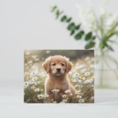 Carte Postale Golden Retriever Puppy Daisy Field (Debout devant)