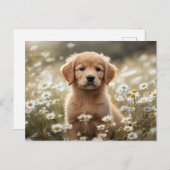 Carte Postale Golden Retriever Puppy Daisy Field (Devant / Derrière)