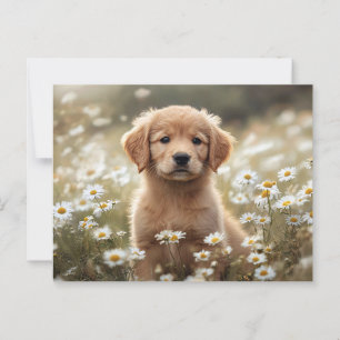 Carte Postale Golden Retriever Puppy Daisy Field
