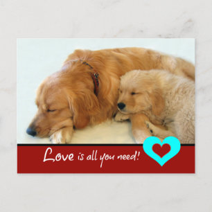 Carte Postale Golden Retriever Puppy love