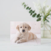 Carte Postale Golden retriever se couchant (Debout devant)