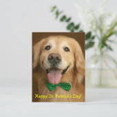 Carte Postale Golden Retriever St. Patrick's Day (Debout devant)