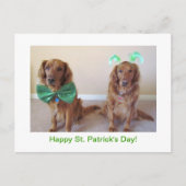Carte Postale Golden Retriever St. Patrick's Day Postcard (Devant)