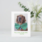 Carte Postale Golden Retriever St. Patrick's Day Postcard (Debout devant)