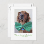 Carte Postale Golden Retriever St. Patrick's Day Postcard (Devant / Derrière)