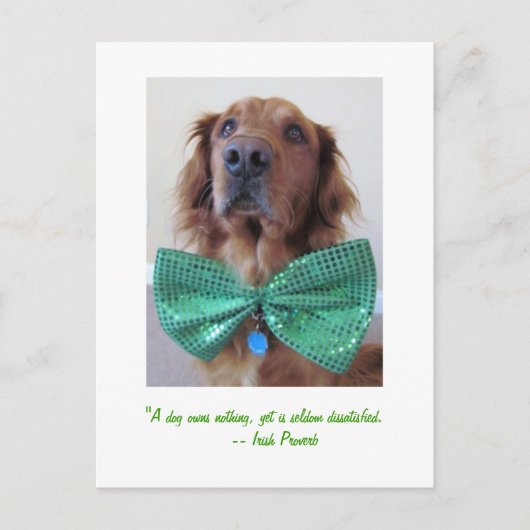 Carte Postale Golden Retriever St. Patrick's Day Postcard (Devant)
