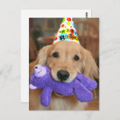 Carte Postale Golden Retriever with Happy Birthday Casquette and (Devant / Derrière)