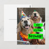 Carte Postale Golden Retriever Yay C'est Ton Anniversaire (Devant / Derrière)