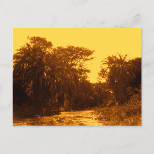 Carte Postale Golden River Gallery Forêt Terres tropicales Vinta